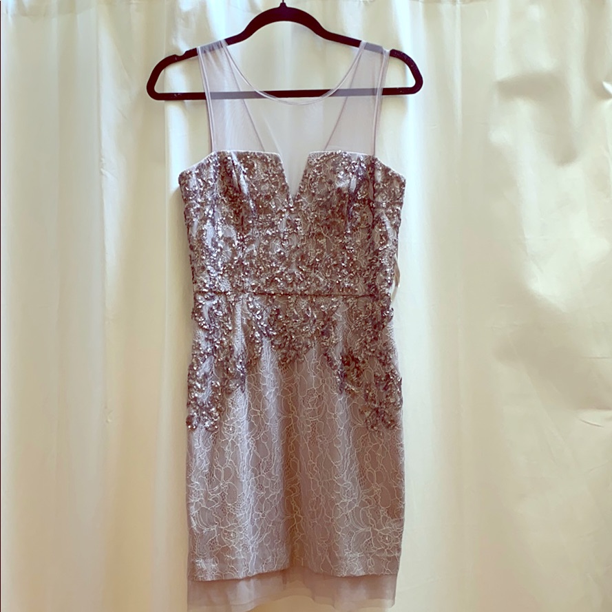 Bcbg Maxazria Silver Sequins Dress